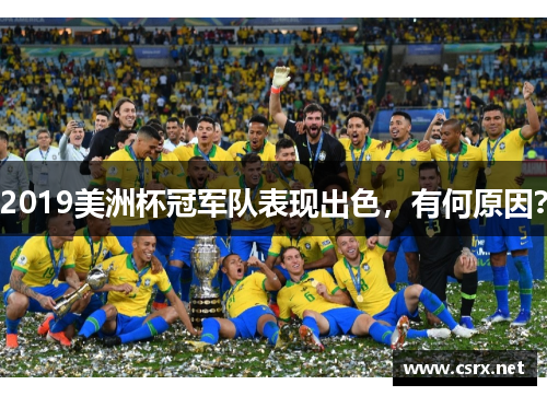 2019美洲杯冠军队表现出色，有何原因？