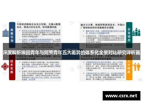 深度解析埃因青年与阿贾青年五大差异的体系化全景对比研究详析篇 深度解析埃因青年与阿贾青年五大差异的体系化全景对比研究详析篇