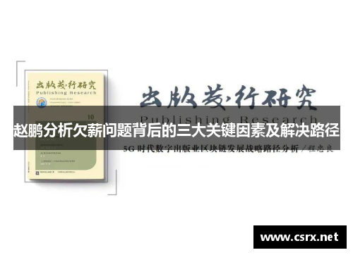 赵鹏分析欠薪问题背后的三大关键因素及解决路径