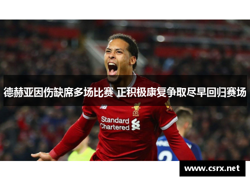 德赫亚因伤缺席多场比赛 正积极康复争取尽早回归赛场