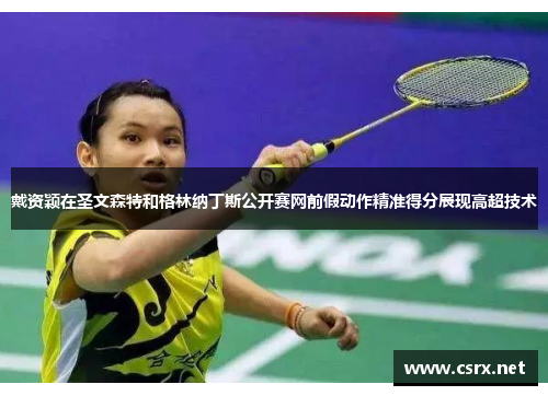 戴资颖在圣文森特和格林纳丁斯公开赛网前假动作精准得分展现高超技术